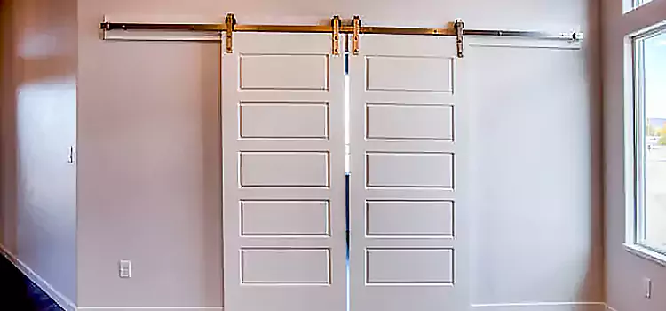 Glass Barn Door with Installation Hardware Kit Stockbridge
